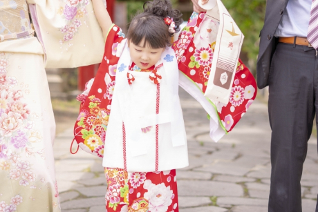 3歳七五三女の子着物セットおすすめ4